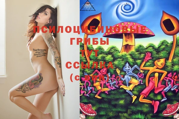 стафф Беломорск