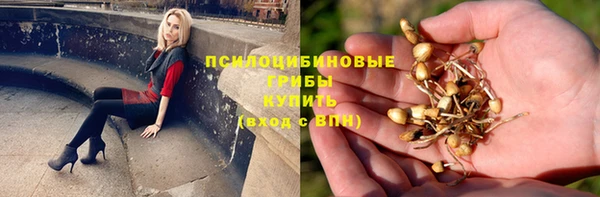 прущая мука Козельск