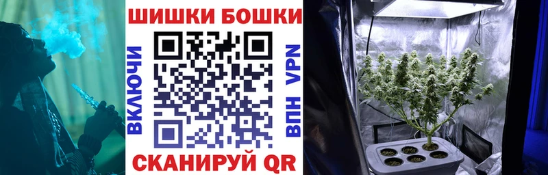 Бошки марихуана сатива Олёкминск